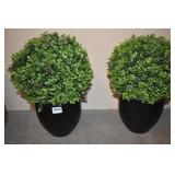 PAIR OF PLANTS ARTIFICAL BOXWOOD 16" H