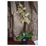 YELLOW GREEN SILK ORCHID IN COMPOSITION CONTAINER