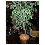 ARTIFICIAL PLANT  IN WICKER BASKET 45" H