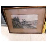 BUTTERFLY PICTURE & FRAME