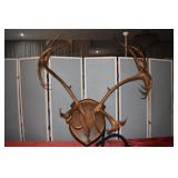 CARIBOU ANTLERS, APPROX. 40" ACROSS
