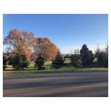 GRAINGER COUNTY LAND AUCTION - NEW CORNITH RD.