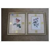 3 FLORAL PRINTS - 2 ROSE AND 1 WILDFLOWER -