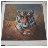 TIGER BY CHARLES FRACE