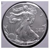 2015 SILVER EAGLE GEM
