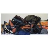 COLLECTION OF LADIES PURSES: