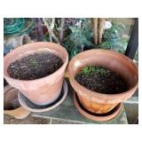 FLOWER POTS: PLASTIC AND TERRA COTTA