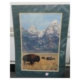 BUFFALO AT THE BASE OF THE GRAND TETON MOUNTAINS