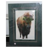 WINTER BUFFALO IN YELLOWSTONE NATIONAL PARK