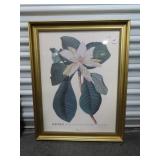 MAGNOLIA BLOSSOM PRINT AND COTTAGE PRINT