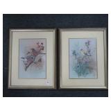 2 BIRD PRINTS BY F. MASSA - FRAMED AND MATTED
