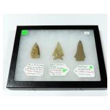 3 POINTS: PAINT ROCK VALLEY TRANSITIONAL PALEO-EAR