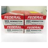 80 ROUNDS FEDERAL .223 REM AMMUNITION