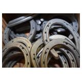 21 PAIR HORSESHOES