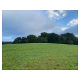 +/- 7.13 acres - cleared pastureland