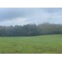 +/- 8.49 acres - cleared pastureland