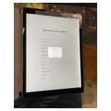 2 ipads one mini and on ipad pro with damage