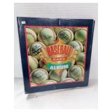 BINDER W/80+ SPORTS TRADING CARDS - LOOSE