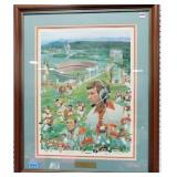 TENNESSEE VOLS PRINT