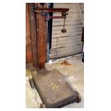 PLATFORM SCALE
