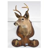 4 POINT BUCK MOUNT WITH GUN RACK FEET