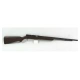 SPRINGFIELD .22 CAL RIFLE
