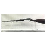 TAURUS, 62, SLIDE RIFLE 22