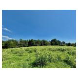 TRACT 7 | 7.15+/- acres