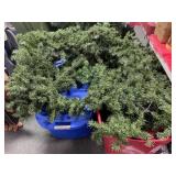 HOLIDAY GREENERY AND WREATHS