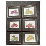 13 FRAMED FRUIT PRINTS