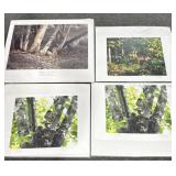 3 UNFRAMED WILDLIFE PHOTOS (ENLARGED) BY KEN.