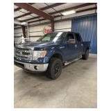 2013 FORD F-150 XLT