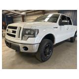 2009 FORD F-150 4X4 2009 FORD F-150 4X4