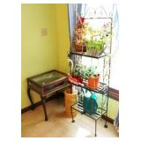 METAL PLANT STAND, PLANTS, UMBRELLA, UMBRELLA METAL PLANT STAND, PLANTS, UMBRELLA, UMBRELLA