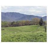 TRACT 3 | 12.14+/- acres TRACT 3 | 12.14+/- acres