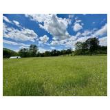 TRACT 5 | 19.03+/- acres - Heiskell TN TRACT 5 | 19.03+/- acres - Heiskell TN