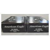 20 ROUNDS AMERICAN EAGLE