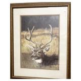 MAJESTIC BUCK FRAMED PRINT