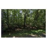 LAKE TANSI BUILDING LOT - CROSSVILLE, 38572