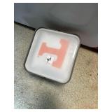 CORN HOLE BOARD WITH U.T. BAGS