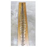 58 IN SNAKE SKIN MOUNTED ON BOARD 58 IN SNAKE SKIN MOUNTED ON BOARD