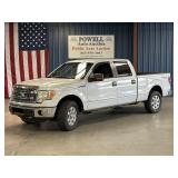 2013 FORD F-150 XLT