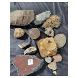 COLLECTION OF FOSSILS - MISC. STONES COLLECTION OF FOSSILS - MISC. STONES