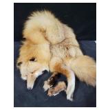 RED FOX COLLAR RED FOX COLLAR