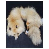 RED FOX COLLAR RED FOX COLLAR