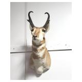 PRONG HORN MOUNT