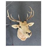 6x6 ELK MOUNT