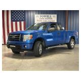 2010 FORD F-150
