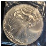 2015 SILVER EAGLE