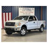 2010 FORD F-150 STX